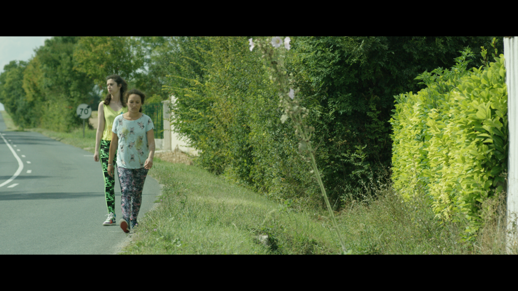 One Morning, a Bunny One Morning, a Bunny