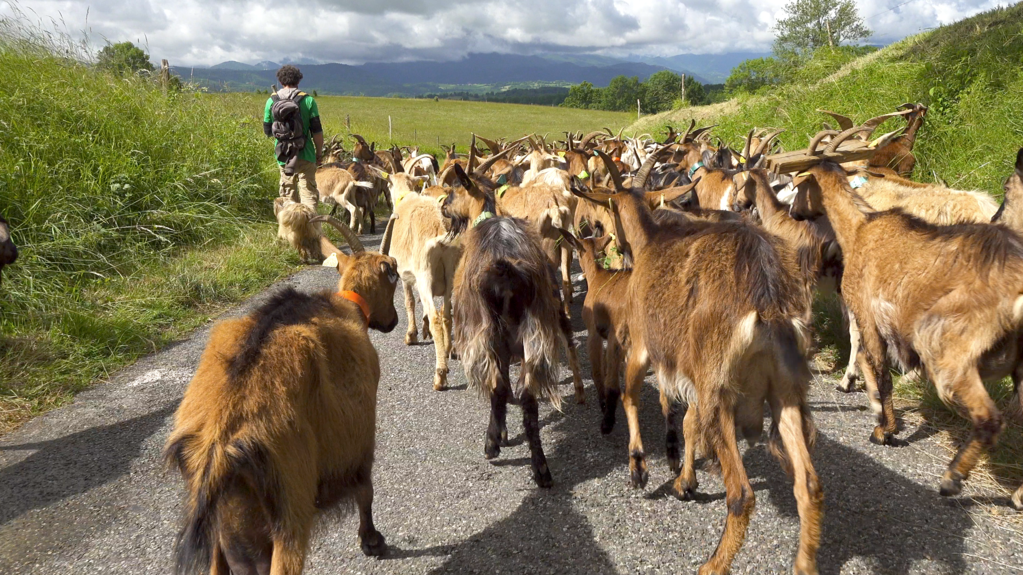 La Réponse des bergers La Réponse des bergers