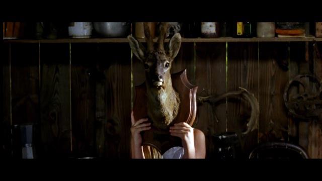 La Mort du loup La Mort du loup