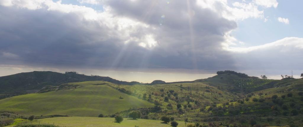 A Country of Resistance A Country of Resistance