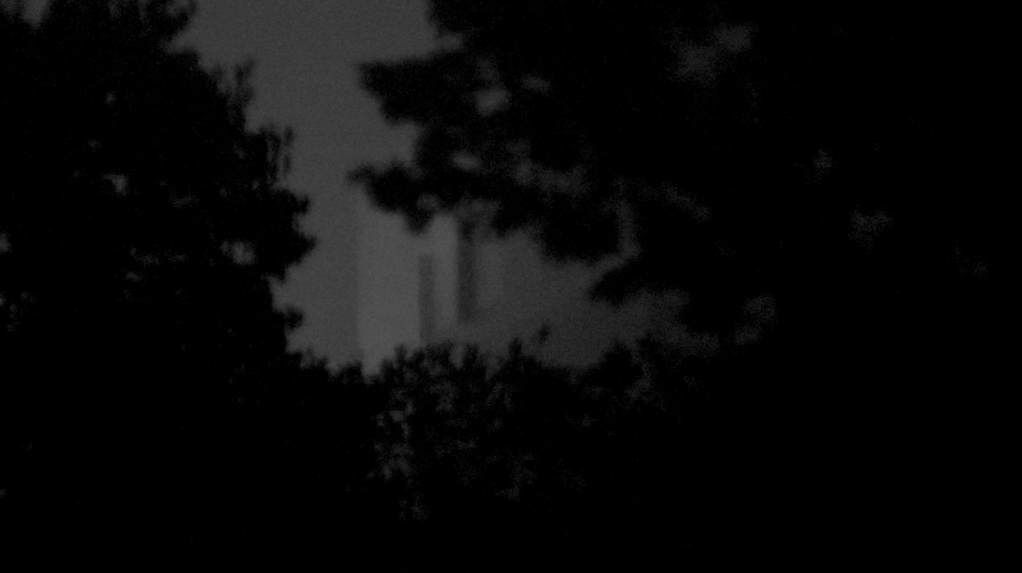 She Loved the Sea She Loved the Sea