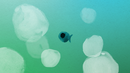 Poisson nuage
