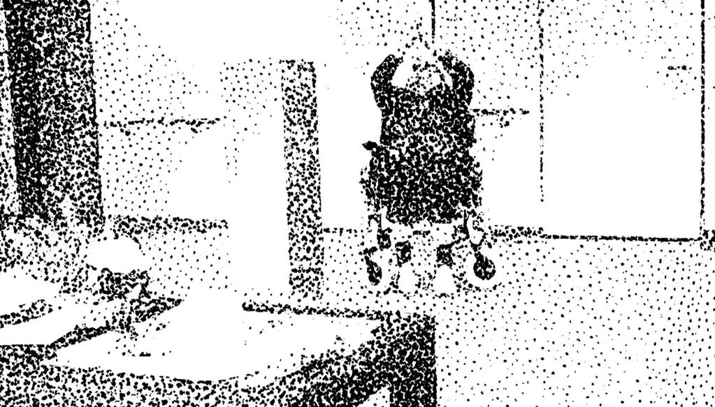 Cinanima - 2017 Cinanima - 2017