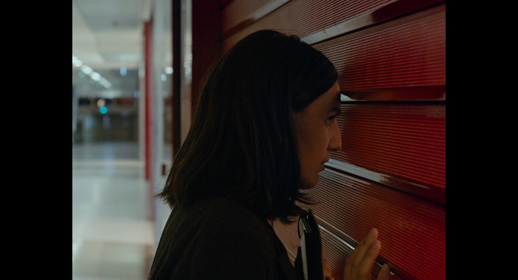 Swan in the Center Swan in the Center