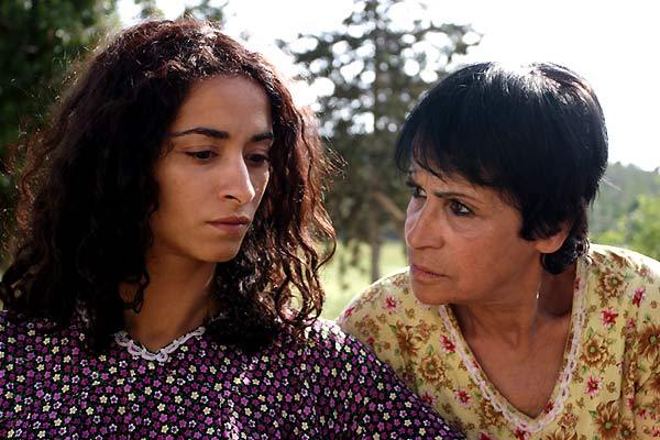 Barakat ! / 仮題:バラカ! Barakat ! / 仮題:バラカ!