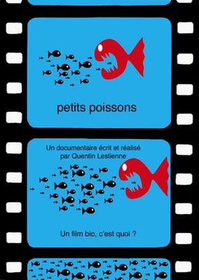 Small Fish Small Fish