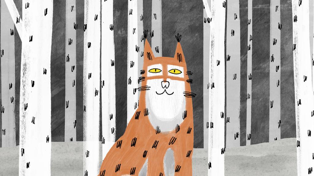 Un lince en la ciudad Un lince en la ciudad