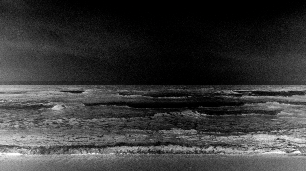 She Loved the Sea She Loved the Sea