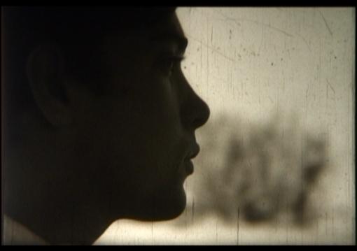 Viena (Vienal) -Festival Internacional de Cine - 2009