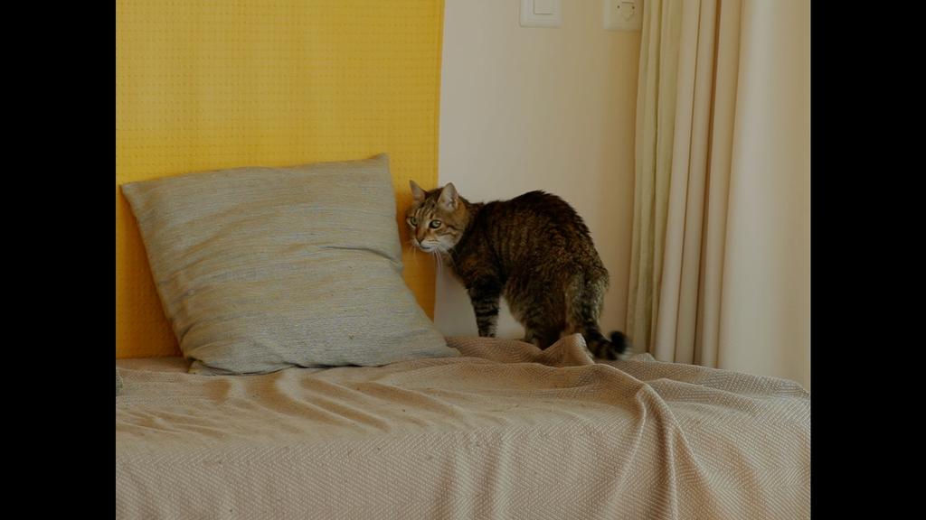 Belva GmbH Belva GmbH