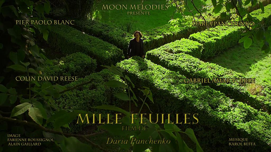 Mille-feuilles Mille-feuilles