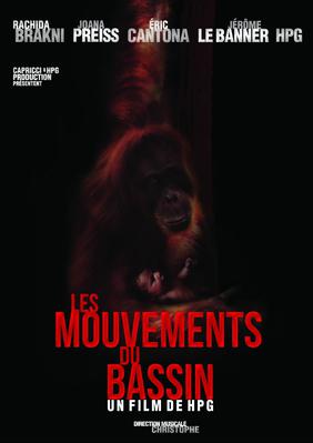Les Mouvements du bassin Les Mouvements du bassin