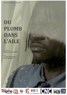 Du plomb dans l’aile Du plomb dans l’aile