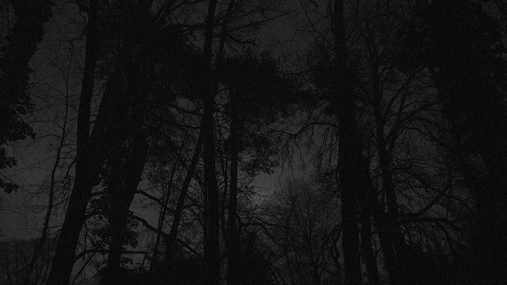 Nuit obscure – "Ain't I a Child?" Nuit obscure – "Ain't I a Child?"