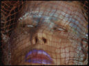 Venenus