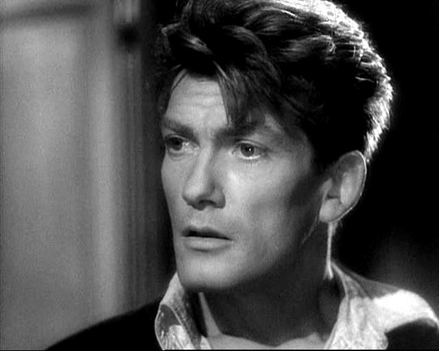 The Storm Within The Storm Within