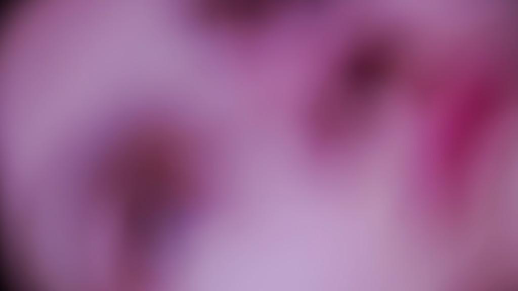 Echoes of the Moon Echoes of the Moon