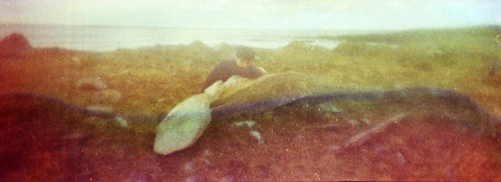 Rapha&euml;l Mouterde