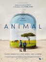 Animal Animal