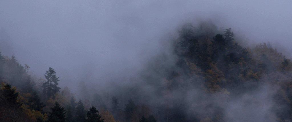 Ondes noires Ondes noires