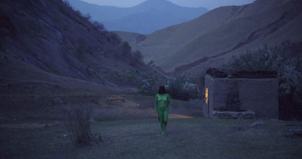 Mostra - Festival Internacional de Cine de S&atilde;o Paulo  - 2016