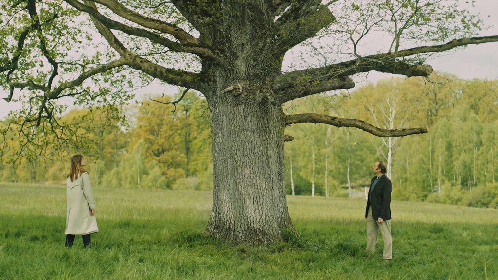 Le Mètre carré Le Mètre carré