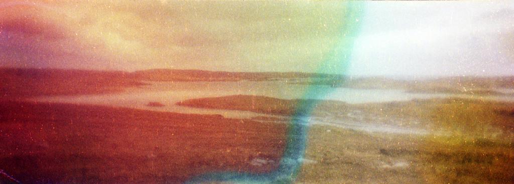 Chasing Whales Chasing Whales