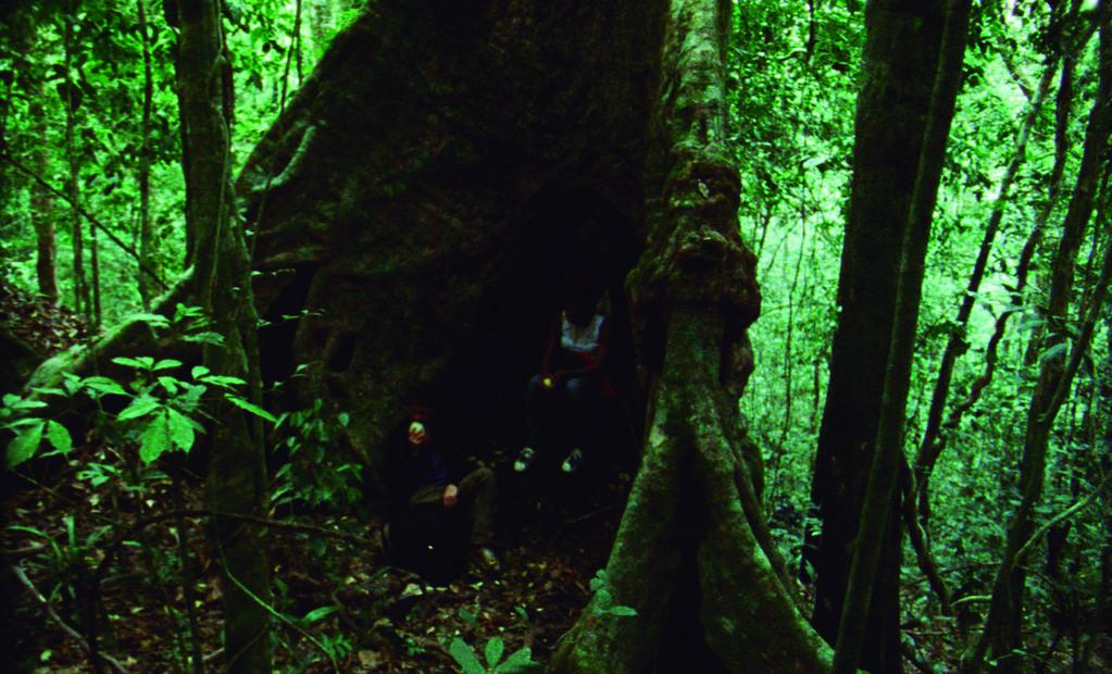 Quincena de Cineastas - 2013