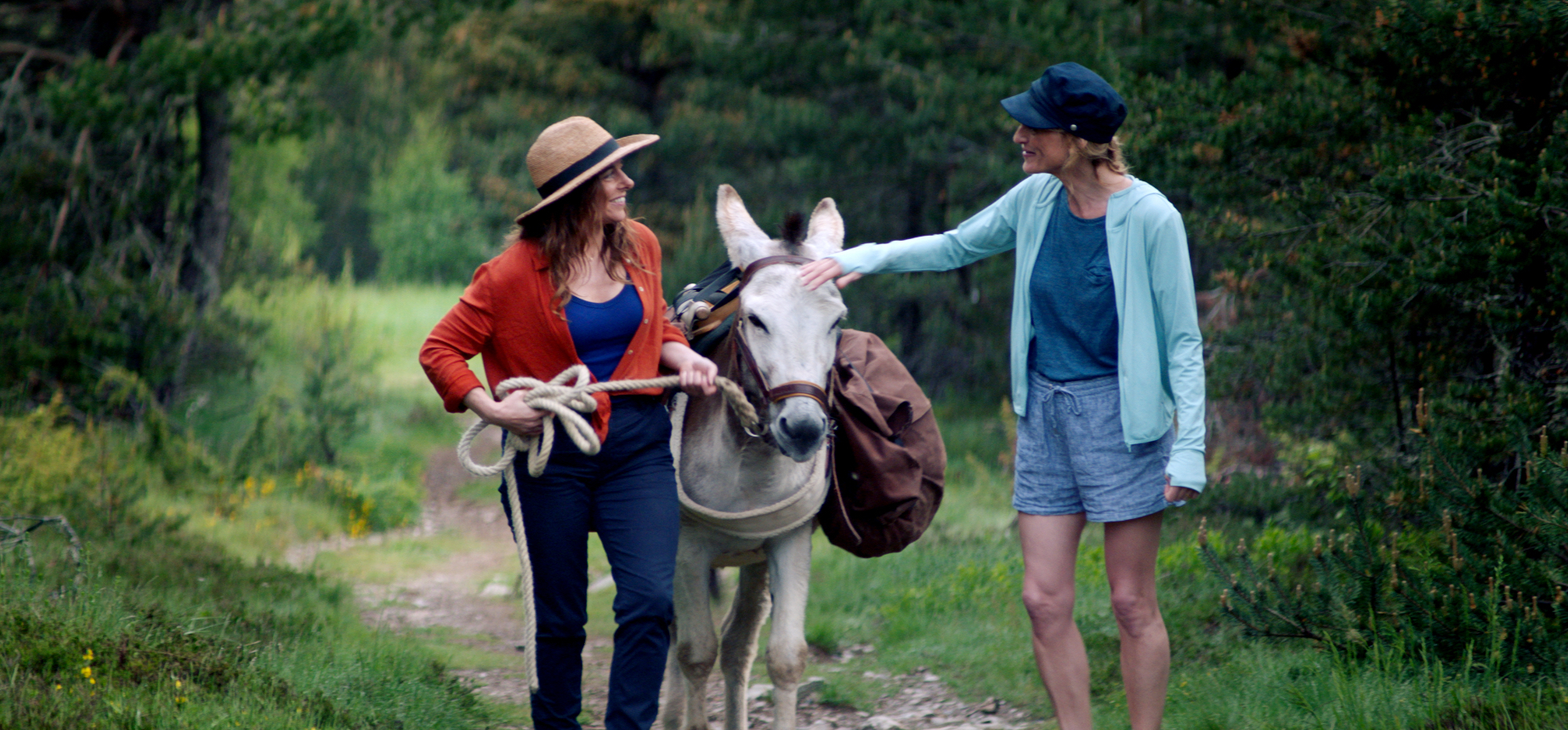 French films at the international box office: April 2021 French films at the international box office: April 2021