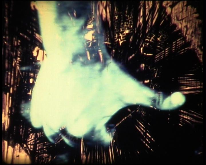 Festival del nuevo cine de Montreal - 2002