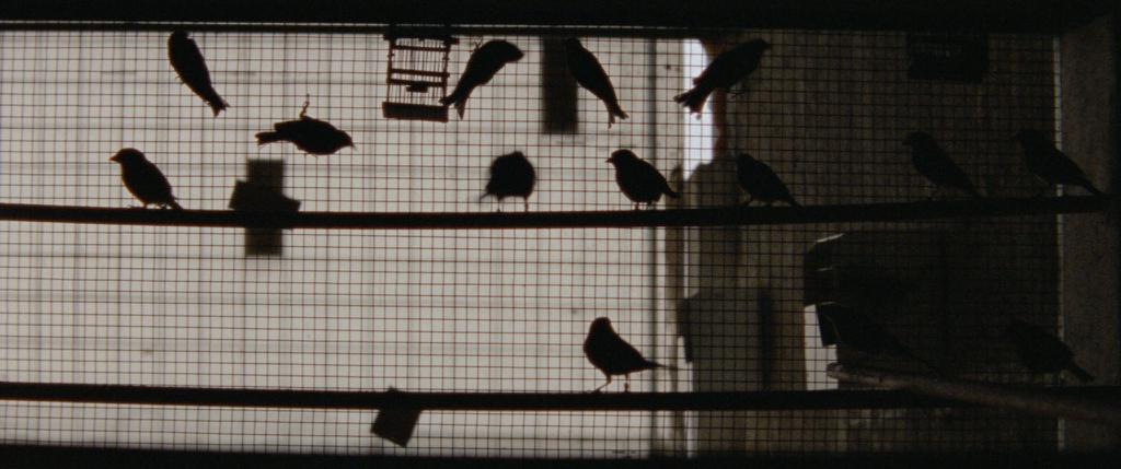 Les Mille et une nuits - L'Enchanté Les Mille et une nuits - L'Enchanté