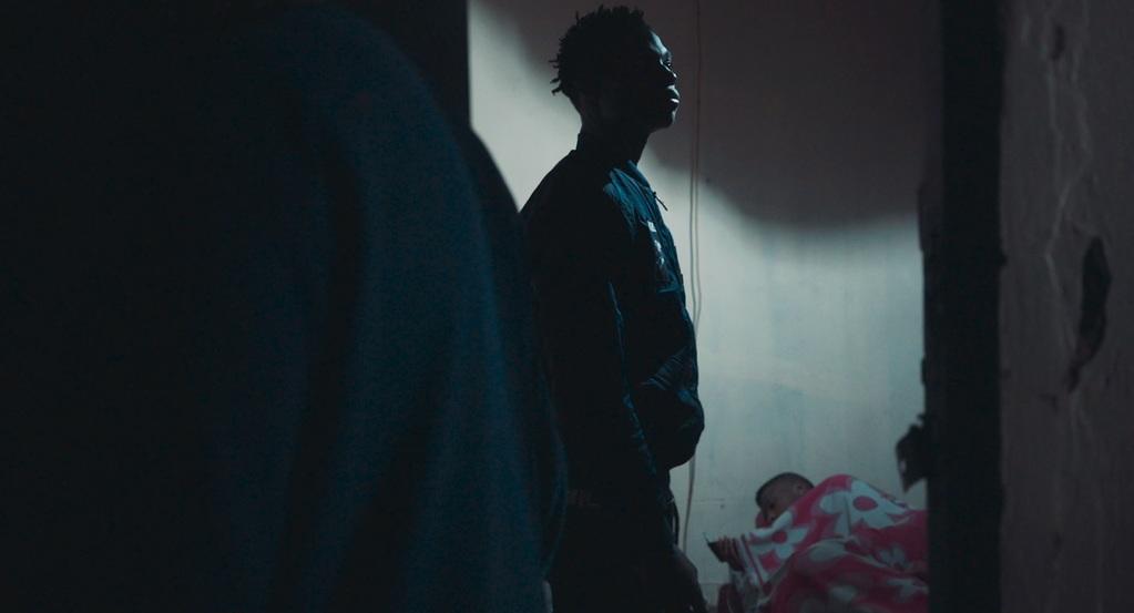 Perro Bomba Perro Bomba