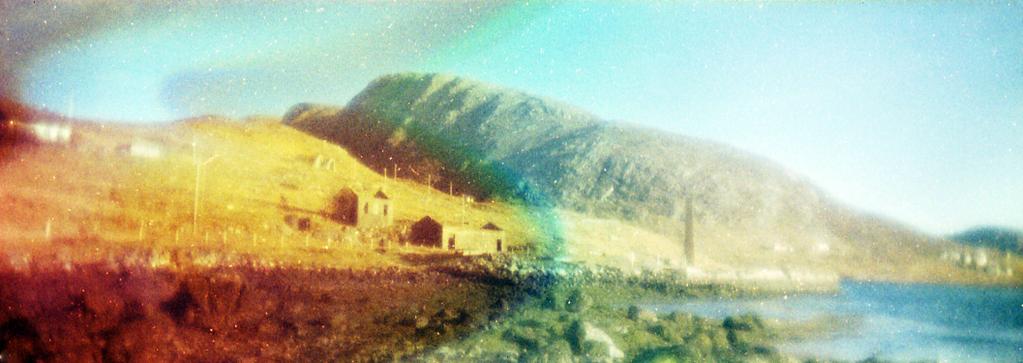 Chasing Whales Chasing Whales