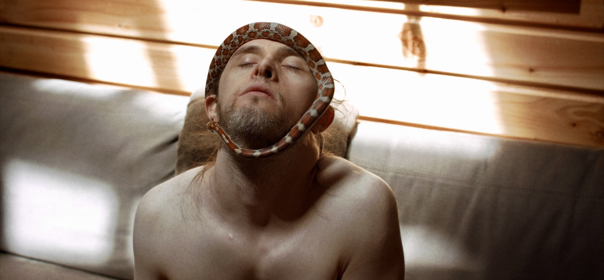 'Théo et les métamorphoses', Grand Prix du Festival New Horizons de Wroclaw 'Théo et les métamorphoses', Grand Prix du Festival New Horizons de Wroclaw