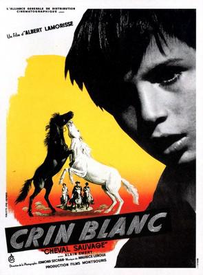 Crin blanc le cheval sauvage Crin blanc le cheval sauvage
