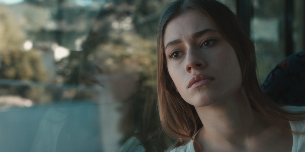 Foggy Bird Foggy Bird