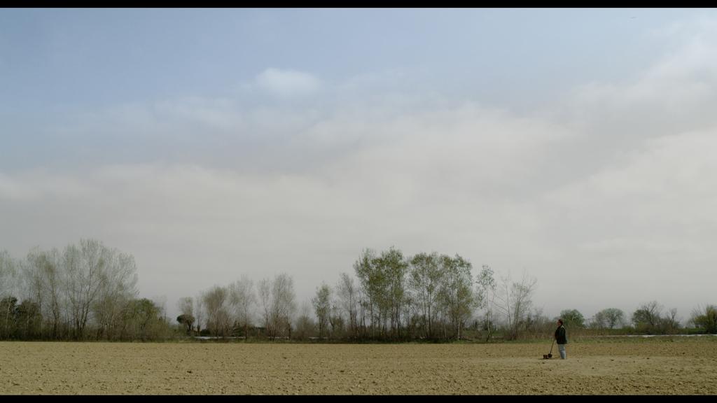 Son père était un arbre Son père était un arbre