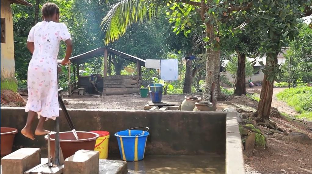 A Tree is Worth More Than its Wood A Tree is Worth More Than its Wood