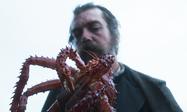 The Tale of King Crab - © Shellac The Tale of King Crab - © Shellac