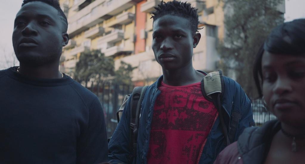 Perro Bomba Perro Bomba